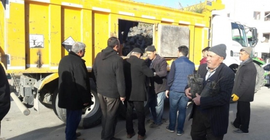 Altunhisar’da vatandaşlara ceviz fidanı dağıtıldı
