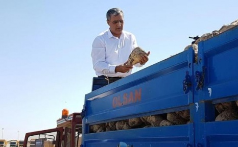 Konya Şeker Pancar Paralarını Ödemeye Başladı