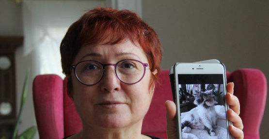 (Özel Haber) Evladı gibi sevdiği 12 yıllık kedisini bulana 2 bin lira ödül verecek