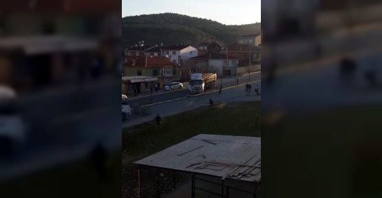 Vatandaşa önce hafriyat kamyonu terörü yetmedi sonra sopa ile kovalama