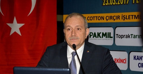 Adana’da lisanslı pamuk üretimi 77 bin 897 tona ulaştı