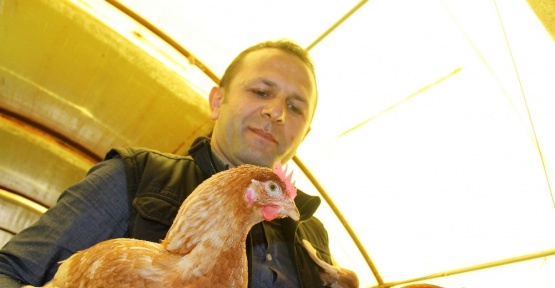 Arkadaşından ödünç aldığı 1 horoz 2 tavuk hayatını değiştirdi