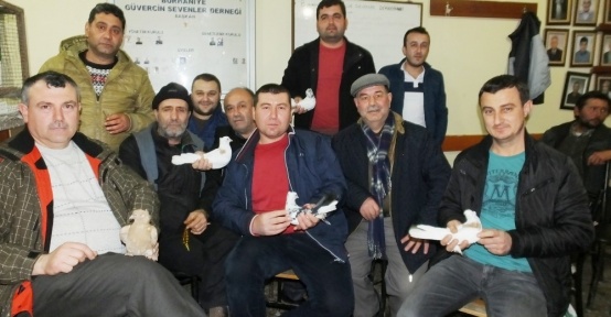 Burhaniye’de mezat güvercin meraklılarını buluşturdu