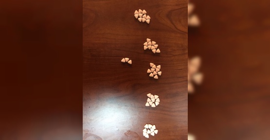Erzurum’da uyuşturucu taciri 2 kişi 53 adet ecstasy hap ile yakalandı