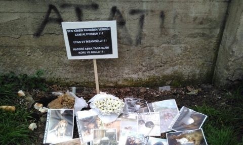 Gölcük’te hayvanseverlerden tepki