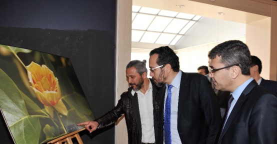Kampüsün renkleri sergisi devam ediyor