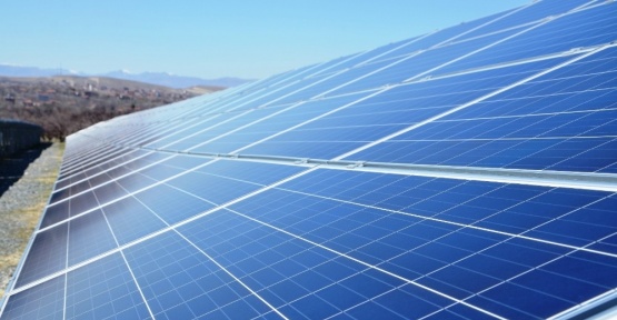 Kayısı bahçeleri güneş enerji tarlaları için kiraya veriliyor