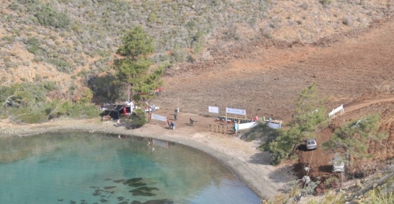 Marmaris’te yanan 460 dönüm alana 5 milyon tohum ekildi