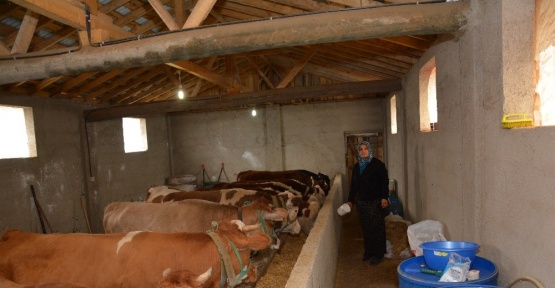 Ordu’da 216 genç çiftçi