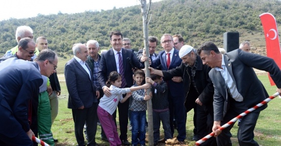 Osmangazi’den 1 milyon fidan