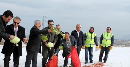 Yaban hayvanlarına yem bırakıldı