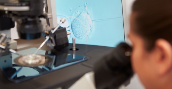 Tüp Bebek İçin Kıbrıs'ı Tercih Edin