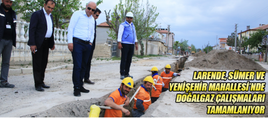 Larende, Sümer ve Yenişehir'de doğal çalışmaları sona eriyor