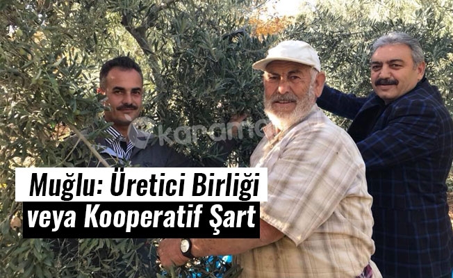 Muğlu: Üretici Birliği veya Kooperatif Şart