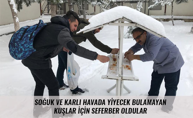 SOĞUK VE KARLI HAVADA YİYECEK BULAMAYAN KUŞLAR İÇİN SEFERBER OLDULAR