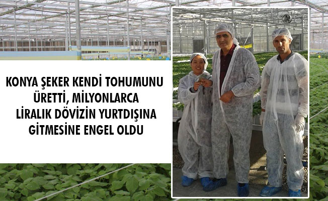 KONYA ŞEKER KENDİ TOHUMUNU ÜRETTİ, MİLYONLARCA LİRALIK DÖVİZİN YURTDIŞINA GİTMESİNE ENGEL OLDU