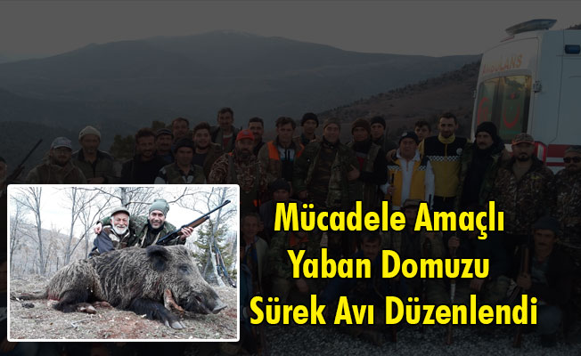 Yukarı Kızılca ve Damlapınar Köylerinde Mücadele Amaçlı Yaban Domuzu Sürek Avı Düzenlendi