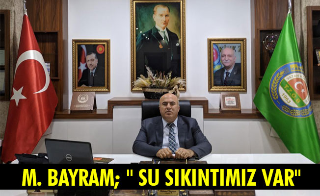 M. BAYRAM;