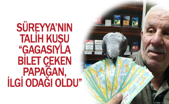 PAPAĞAN, İLGİ ODAĞI OLDU