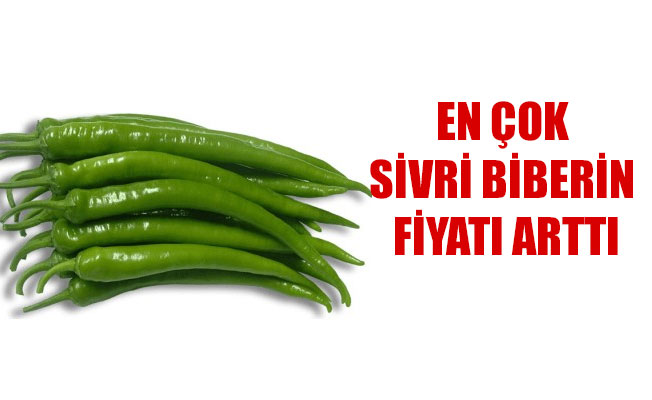 EN ÇOK SİVRİ BİBERİN FİYATI ARTTI