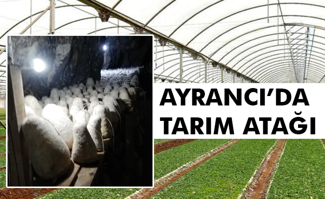 AYRANCI’DA TARIM ATAĞI