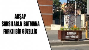 AHŞAP SAKSILARLA KENTE FARKLI BİR GÜZELLİK