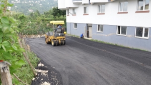 ALTYAPISI YENİLENEN SOKAĞIN SERİ ASFALT SERME İŞLEMİ TAMAMLANDI…