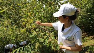 BAŞKAN GÜLER “TARIM BİZİM GİZLİ GÜCÜMÜZ”