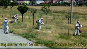 BOŞ ARSALAR VE YOL KENARLARI YABANİ OTLARDAN TEMİZLENİYOR