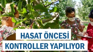 ELMA HASADI ÖNCESİ KONTROLLER YAPILIYOR