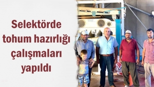 Selektörlerde Tohum Hazırlığı Çalışması