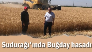 SUDURAĞI'NDA BUĞDAY HASADI