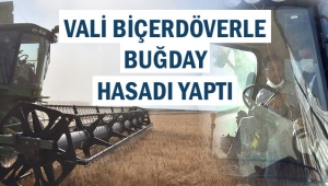 VALİ BİÇERDÖVERLE BUĞDAY HASADI YAPTI