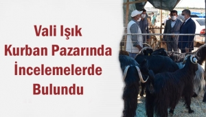 Vali Işık Kurban Pazarında İncelemelerde Bulundu