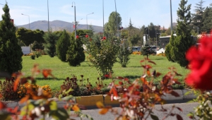 150 BİN BİTKİ TOPRAKLA BULUŞTU