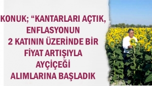 AYÇİÇEK HASADI BAŞLADI