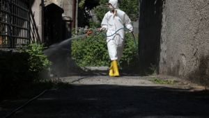 BÖCEK İLAÇLAMA ÇALIŞMALARIMIZ BAŞLADI