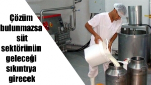 Çözüm bulunmazsa süt sektörünün geleceği sıkıntıya girecek