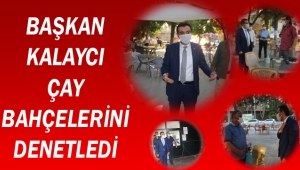 BAŞKAN KALAYCI ÇAY BAHÇELERİNİ DENETLEDİ