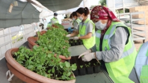 BÜYÜKŞEHİR'DE KIŞ HAZIRLIKLARI BAŞLADI