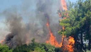 BÜYÜKŞEHİR İTFAİYESİNDEN YANGINA ANINDA MÜDAHALE