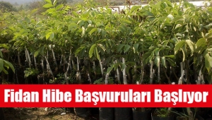 Fidan Hibe Başvuruları Başlıyor