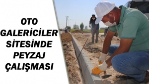 OTO GALERİCİLER SİTESİNDE PEYZAJ ÇALIŞMASI
