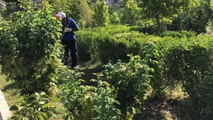 Refüj Bakım Ve Ot Biçim Çalışmalarımız Sürüyor