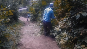 Yabanı otlar temizlendi