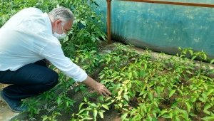 YÖRESEL ÜRETİM TEŞVİK VE FAALİYETLERİMİZ DEVAM EDİYOR