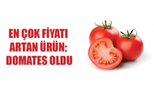 EN ÇOK FİYATI ARTAN ÜRÜN; DOMATES OLDU