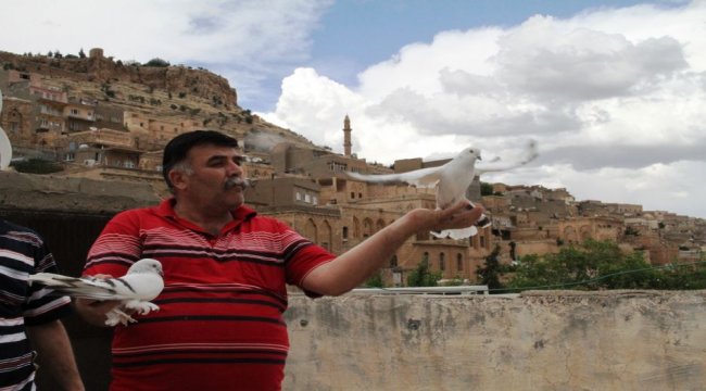Güvercinlerin Messi’si Ronaldo’su Mardin'de! (ÖZEL HABER)