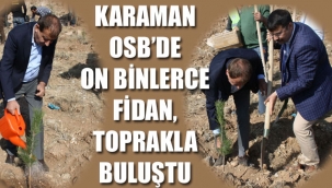 OSB SAHALARI AĞAÇLANDIRILDI
