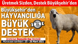 Konya Büyükşehir’den Hayvancılığa Destek